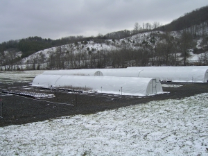 A snow covered Carolina Native Nursery