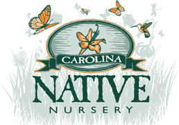 Carolina Native Nursery