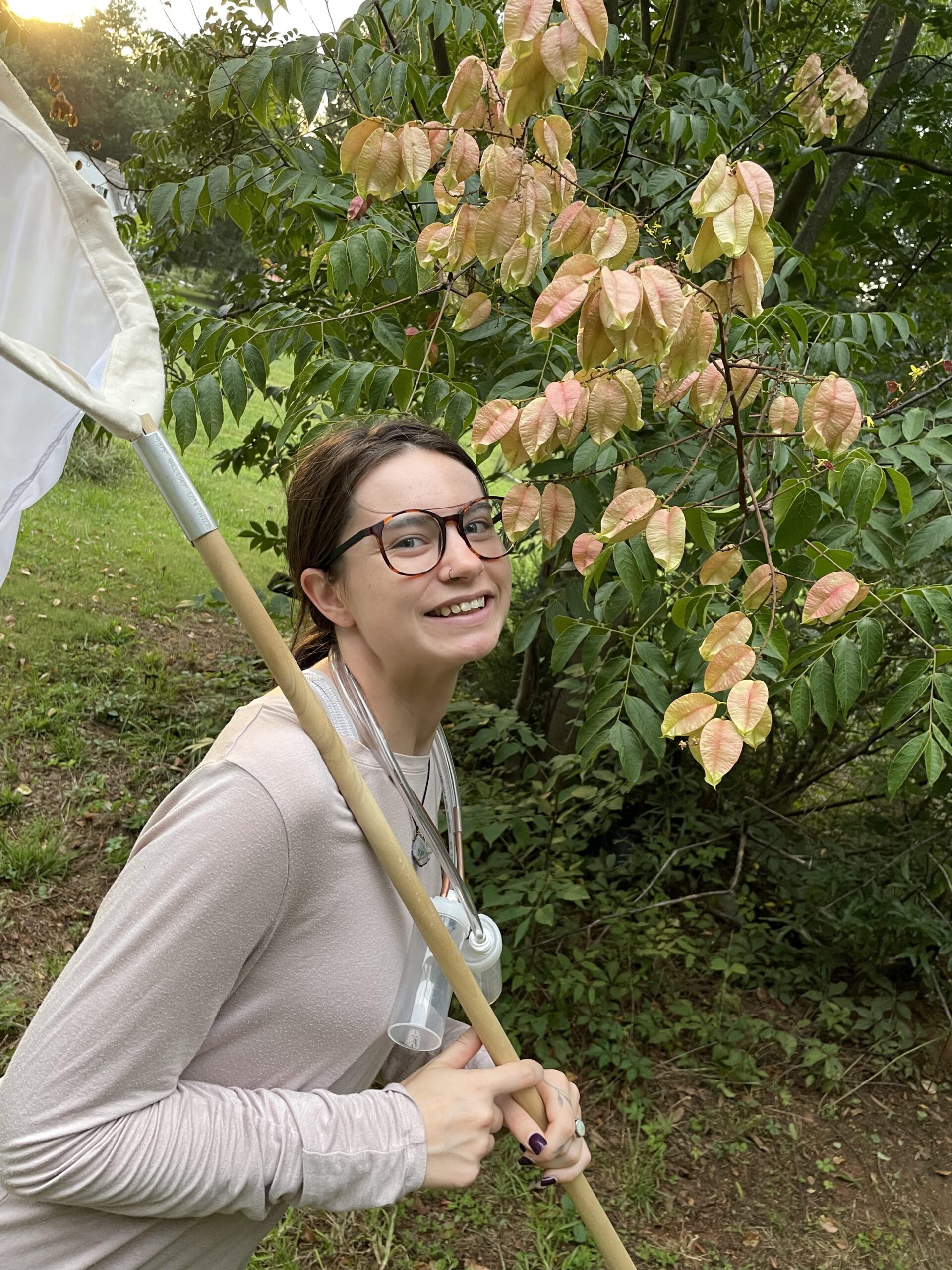 Why You Should Grow Rhododendrons - B.B. Barns Garden Center +