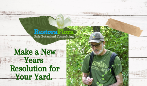 Make a New Year’s Resolution for Your Yard!