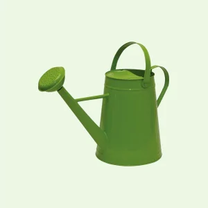 Watering Can