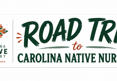 Road Trip to Carolina Native Nursery
