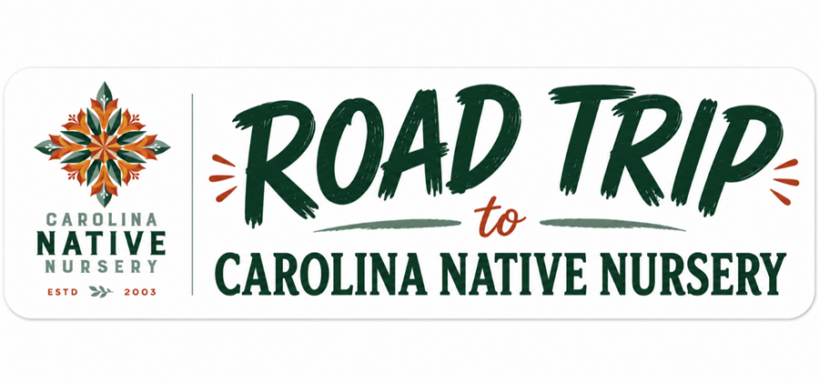 Road Trip to Carolina Native Nursery